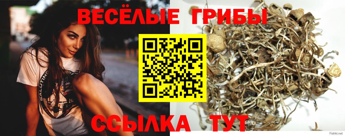 Псилоцибиновые грибы Magic Shrooms Тутаев