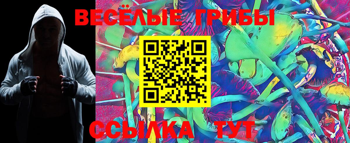 Псилоцибиновые грибы ЛСД  Тутаев  даркнет сайт  Галлюциногенные грибы Cubensis 