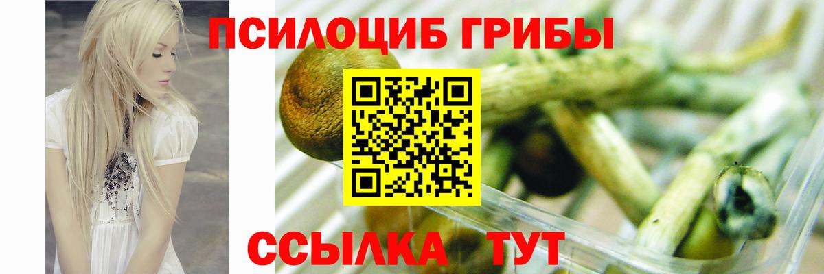 Галлюциногенные грибы Magic Shrooms  Вход с VPN  Галлюциногенные грибы Cubensis  Тутаев 