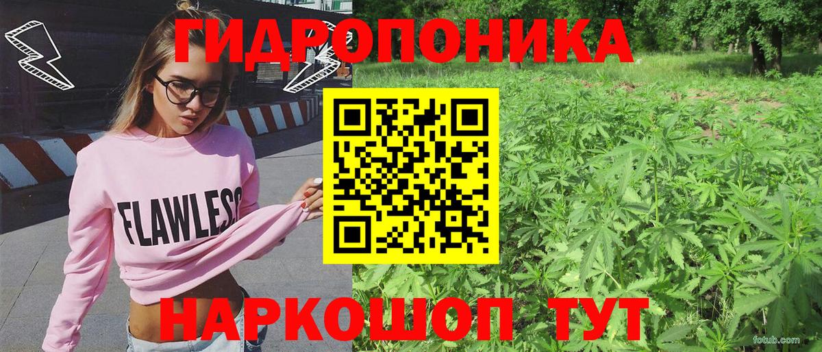 Марихуана ГИДРОПОН Тутаев